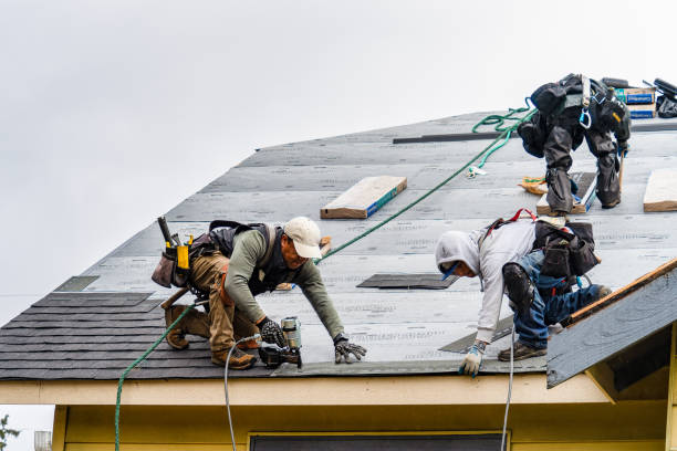 Professional Gutter Installation technician working in Peralta, NM